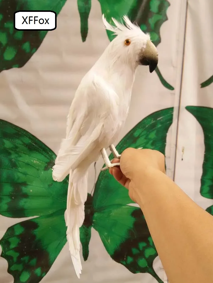 real life white parrot model foam&feather simulation Cockatoo bird gift about 40cm xf0172