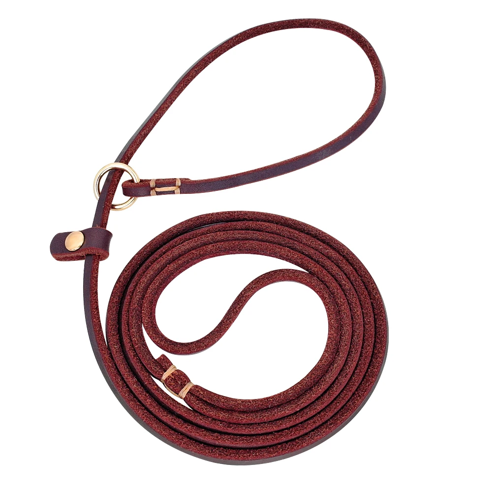 4ft/5ft Leder Hund Leine P Chian Kragen Traktion Blei Seil Für Chihuahua Bulldogge Kleine Hunde Leinen Slip Halsbänder pet Liefert