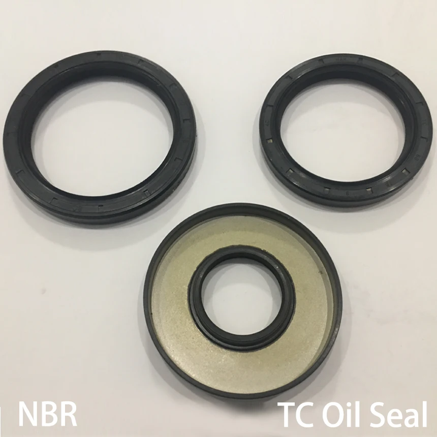 

11.6*22*10 11.6x22x10 11.6*24*10 11.6x24x10 Nitrile Rubber NBR Double Lip Spring TC Ring Gasket Radial Shaft Skeleton Oil Seal