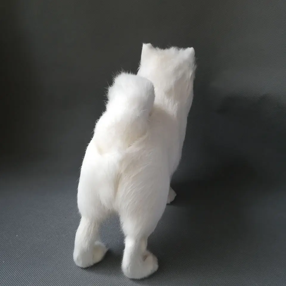 real life toy white Pomeranian model large 28x25cm, plastic&fur Pomeranian handicraft,home decoration toy gift w0554