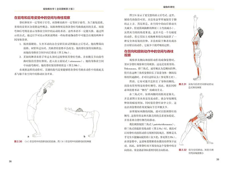 새로운 뜨거운 요가 해부학 도서: 요가 기본 운동 구조 및 원리 근육 보디 빌딩 교육 다이어그램 슬림 건강 도서