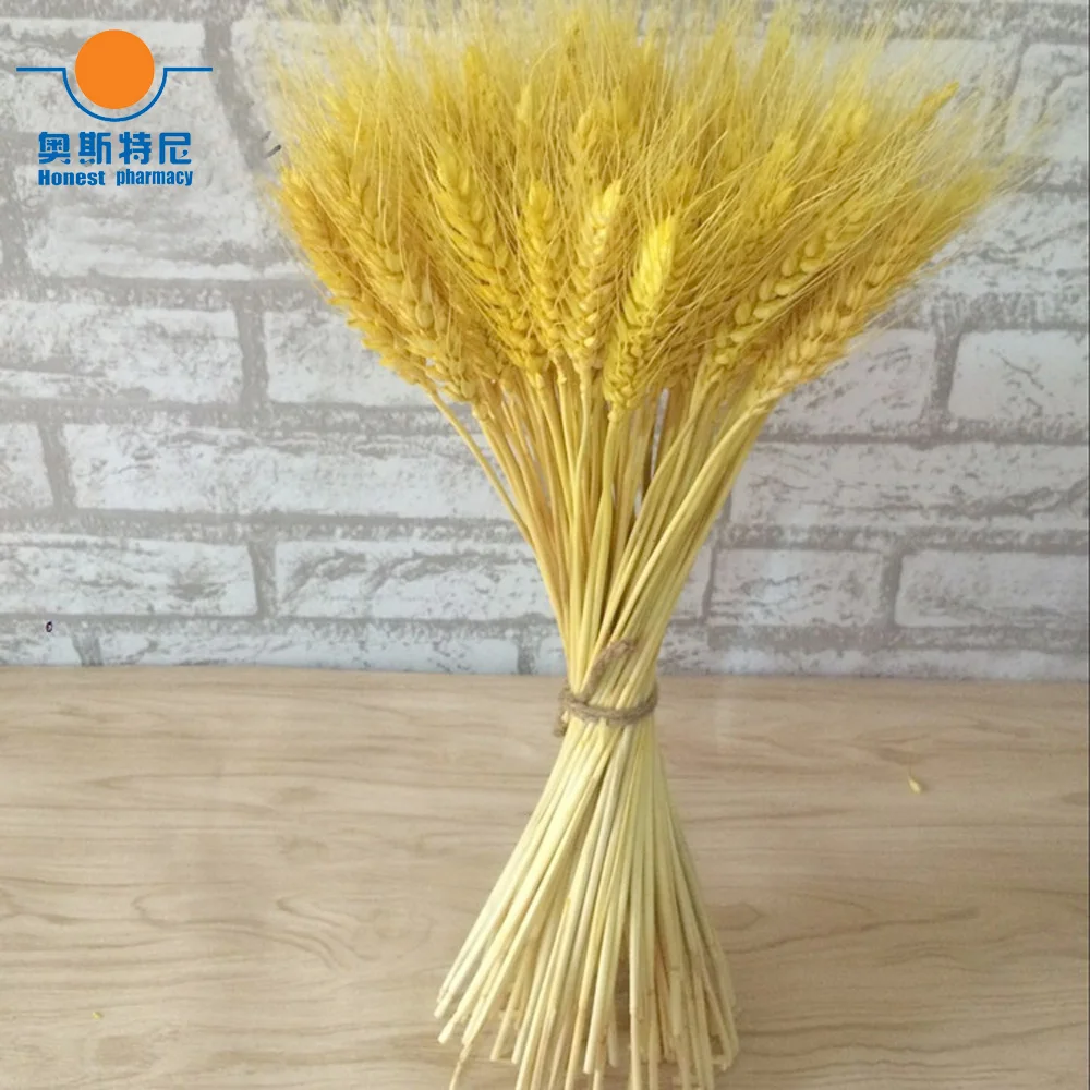 100pcs natural dried flower bouquets natural yellow color dried ear of wheat bouquets&wheat ear Bunches