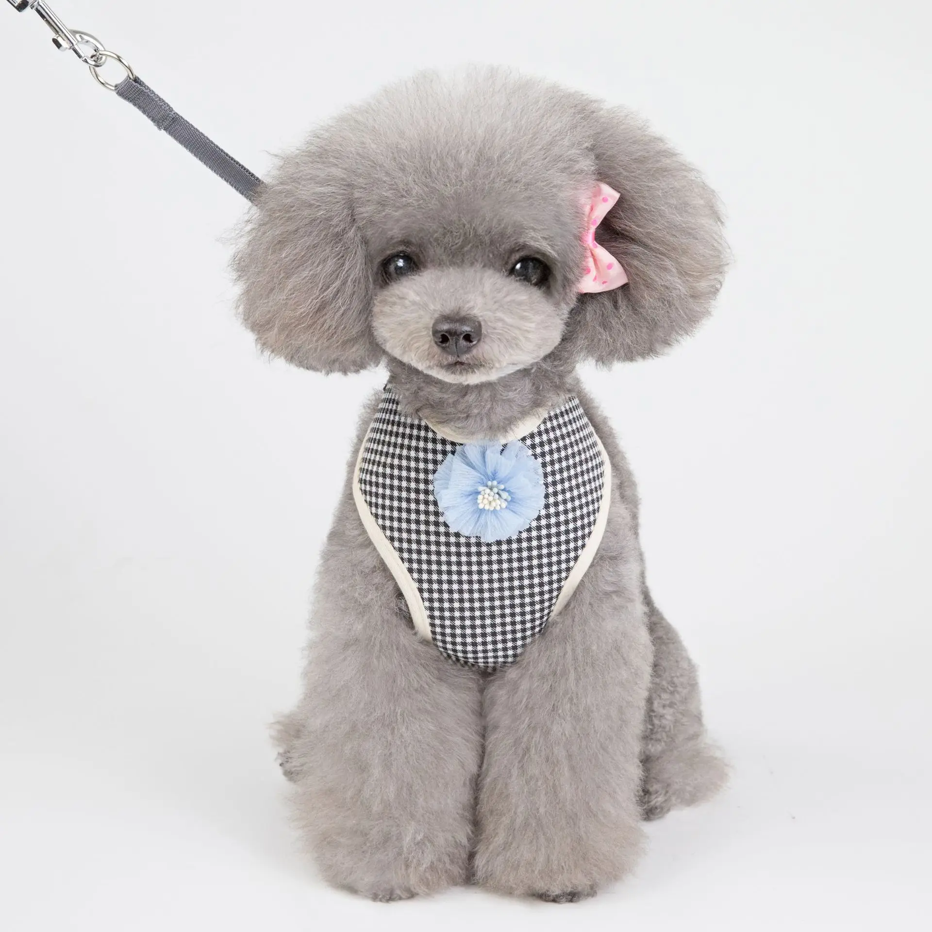 

New summer light patterned pet harness with soft leash