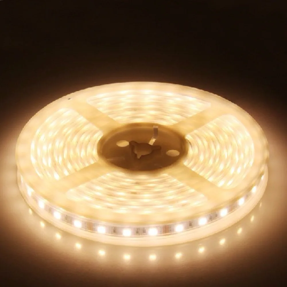 Led Strip Light 5050 Silicon Tube Waterproof IP67 12V 5M RGB Cool White Red Blue Green 3000k 6500k 8000K Flexible Tape Rope