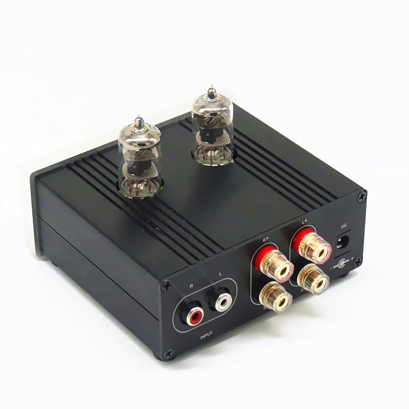 Amplificateur à tubes MINI 3116 classe D, Hi-Fi, 6J1, GE5654