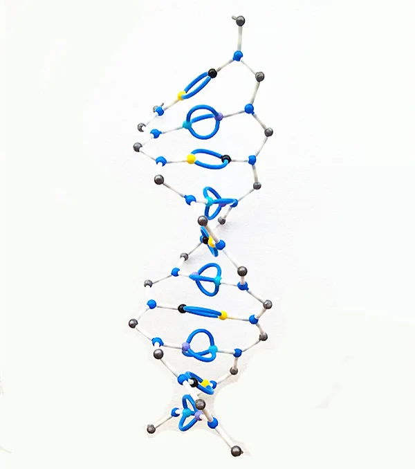 Adn en movimiento: Descubre la estructura y dinámica del ADN
