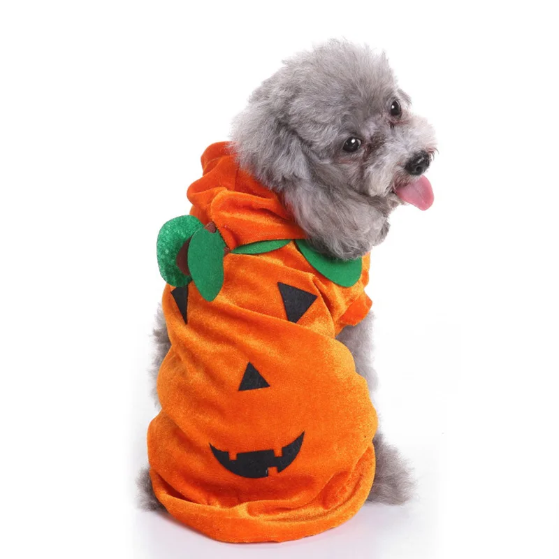 New Funny Pumpkin Sweatshirt Halloween Party Pet Costume For Dog Cat Play Dressing Up Dog Clothes Spider Cosplay Roupa Cachorro