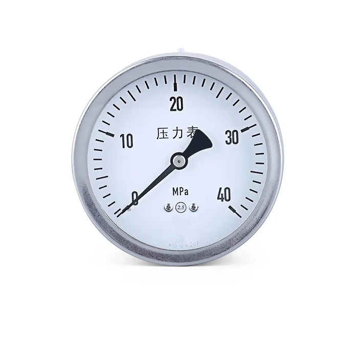 CO2 Pressure Gauge With 0~60 Mpa measure range 60mm diameter Axial Install Air Pressure Manometer