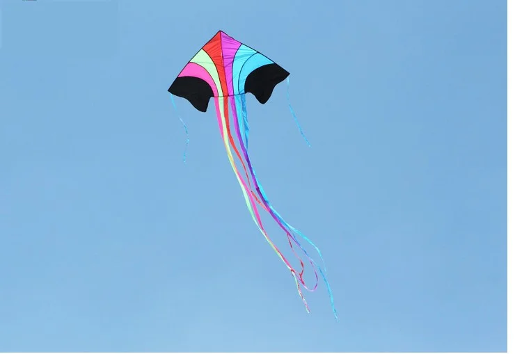 New Kite With Long Colorful Tail!Huge Beginner Kites for Kids And Adults 63-Inch Come With String And Handle