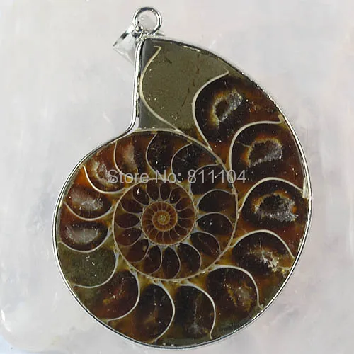 40mm- 45mm Natural Ammonite stone Pendant Beads Wholesale ( 10 pieces/lot)