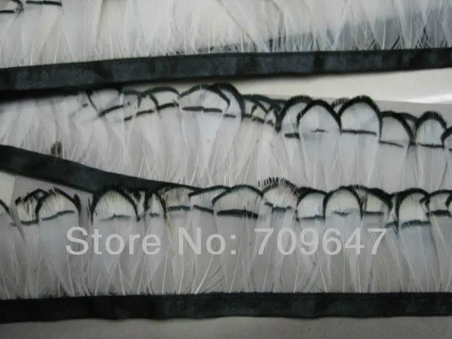 

2Yards/Lot!Height5-6cm!Natural White With Black Tip Lady Amherst Pheasant Feather Fringe, Plumas Decoracion