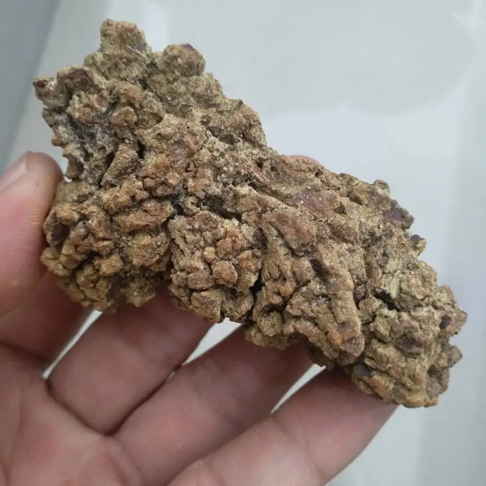 a pack  100g dinosaur poop, Dinosaur Coprolite