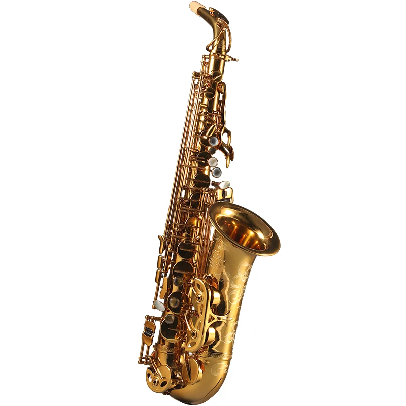 

France Rollinsax Q3 Alto E Flat Saxophone Brass Instruments Body Gold Lacquer for Adult Alto Saxophone with Leather Case