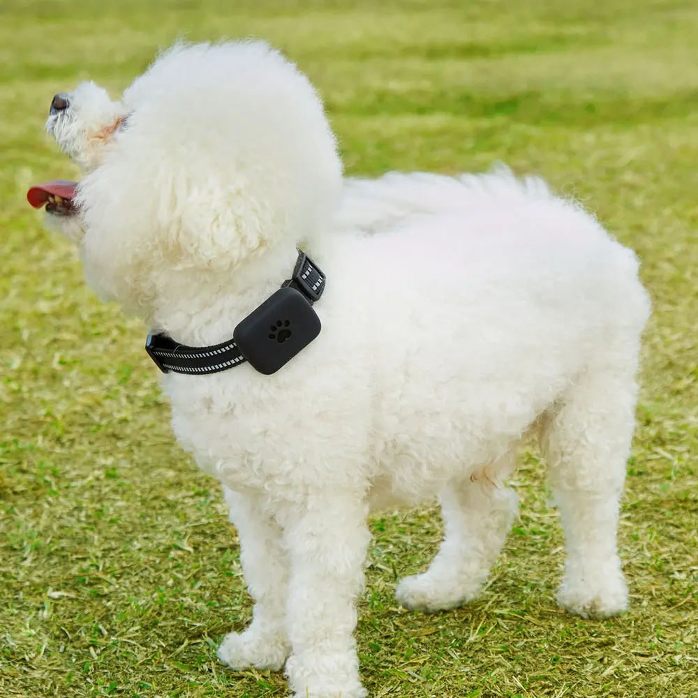 Mini Pet GPS Tracker Waterproof Smart GPS Tracker With Collar For Pets Cat Dog GPS+LBS Location Free APP LED Indicator