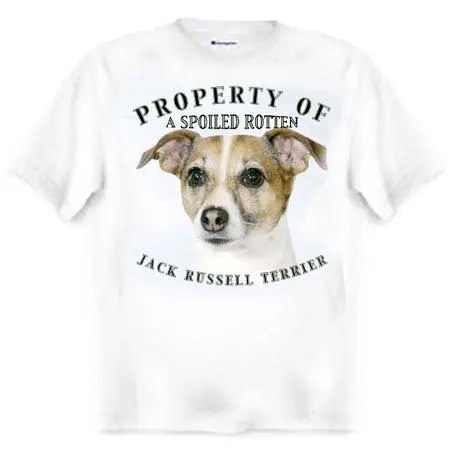 Jack Russell Terrier Property of Adult 2019 Men New Fashion Brand Clothing Male Cross Fit Tops Men T Shirt Clothes