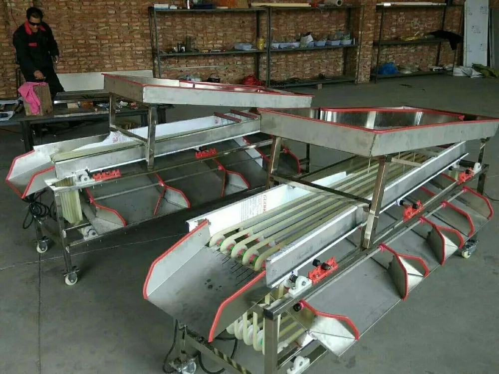 آلة فرز تاريخ اقتصادي ، آلة فرز الكرز ، صاج الكرز ، آلة تصنيف حجم الفاكهة minni