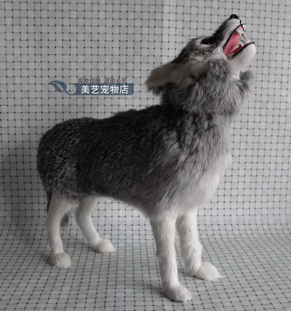 

simulation large wolf 35x10x32cm toy model polyethylene&furs wolf model home decoration props ,model gift d137