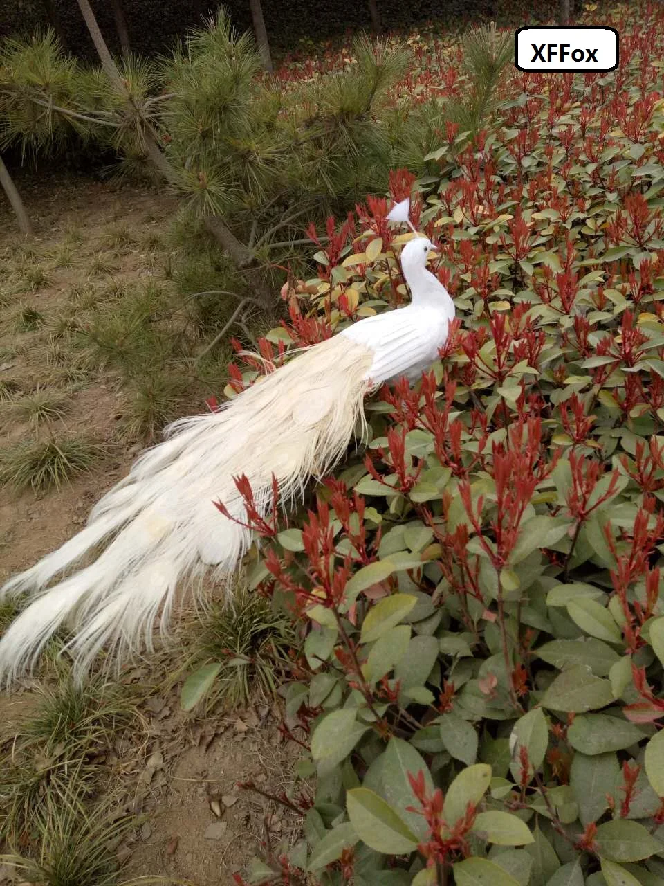 new real life white peacock model foam&feather simulation beautiful peacock bird gift about 100cm xf0316