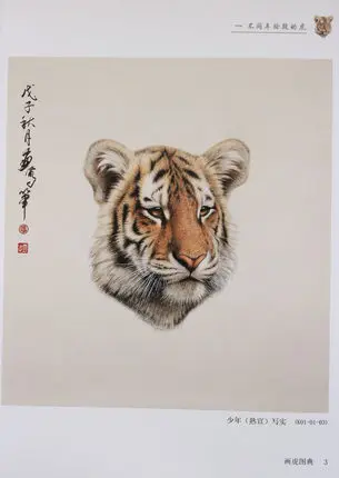 Tinta chinesa pincel pintura gongbi tigre enfrenta cabeça tatuagem flash design livro