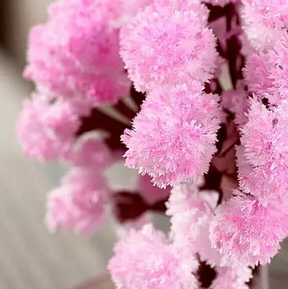 Arbre en papier Sakura artificiel magique 10x8cm, arbre de noël en croissance, fleur de cerisier, jouets japonais magiques pour enfants, 5 pièces, 2019