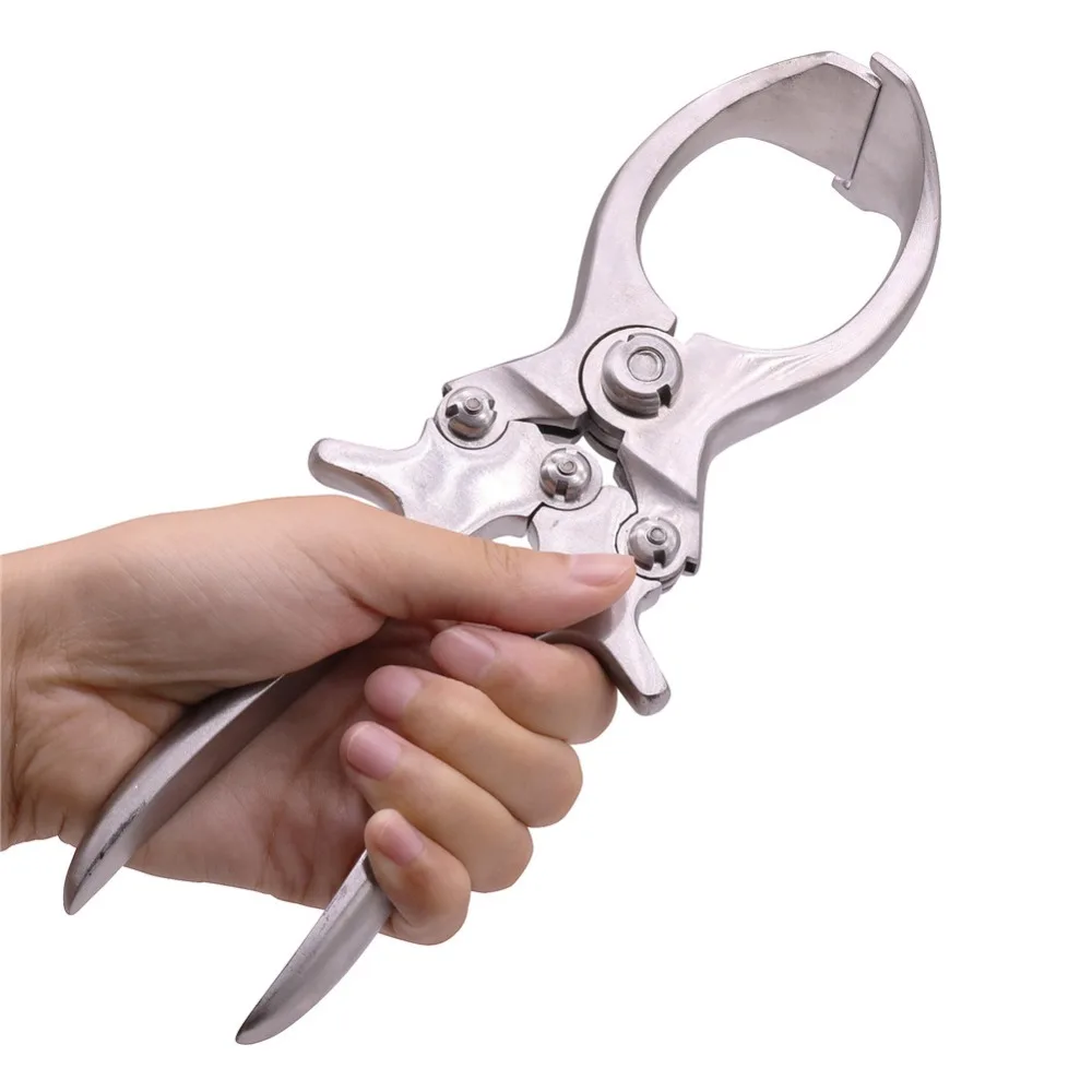 1 Pcs Stainless Steel Bloodless Snipping Pliers Cutting Tool Pliers Sheep With Castration Pliers Small Animal Castration Pliers