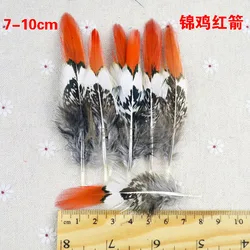 10 PCS beautiful natural pheasant feather 7-15cm/4-6inch