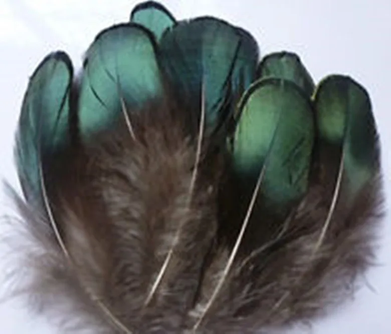 Free shipping 200pcs 4-7cm green color real natural lady amherst's pheasant plumage feathers craft for jewelry making bulk sale