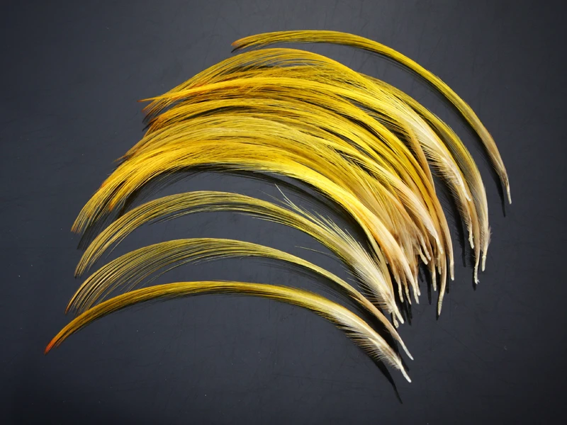 Hand Selected Golden Pheasant Crest Feathers Natural Fly tying material; Available In 4 Sizes