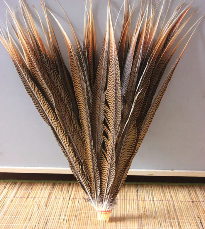 10 PCS natural decorative golden pheasant tail feathers 20-22inches / 50 to 55cm feather decoration wholesale