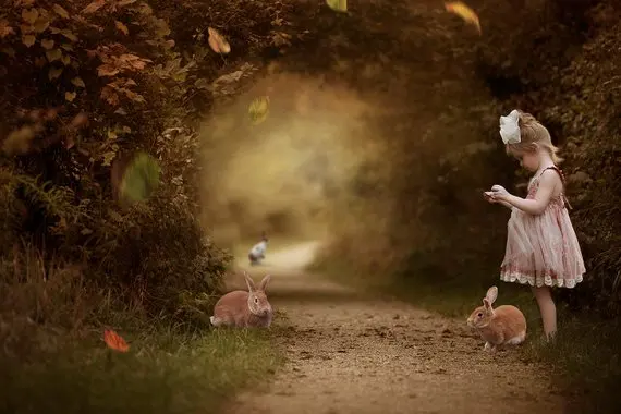 Leaf Leaves Autumn Bunny Halloween Rabbit road backdrops  High quality Computer print children kids background