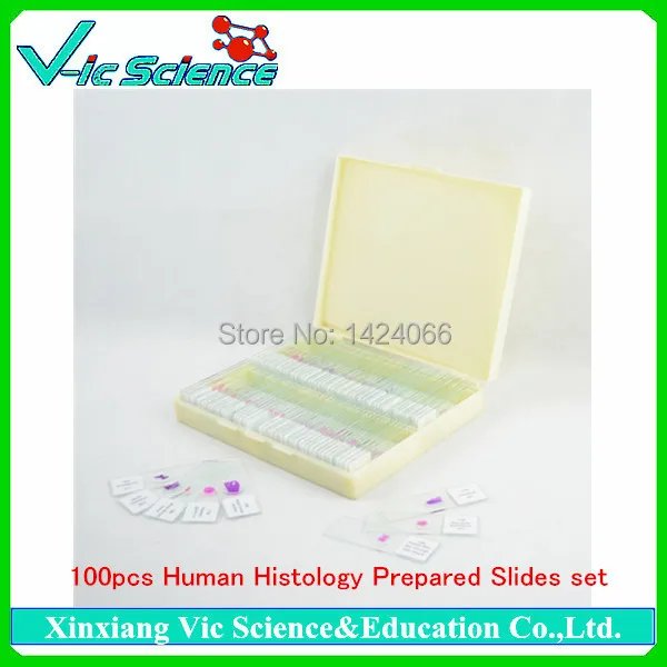 100pcs Human Histology Prepared Slides set