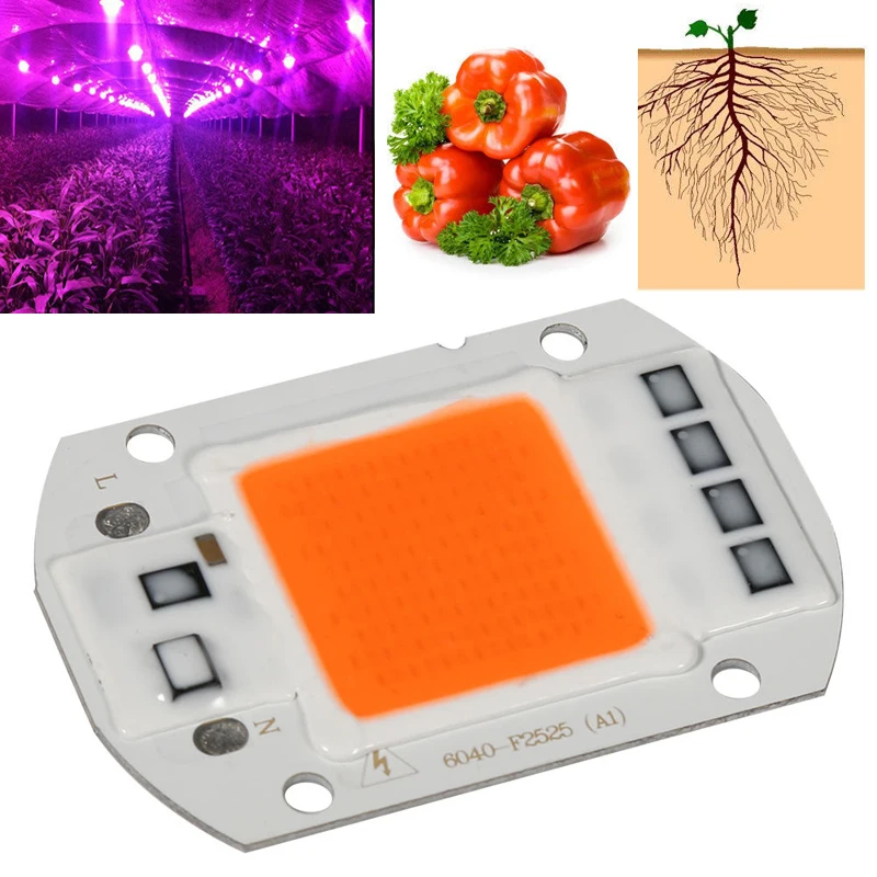 Full Spectrum  COB LED Chip Plant Grow Light Lamp For Garden Hydroponic