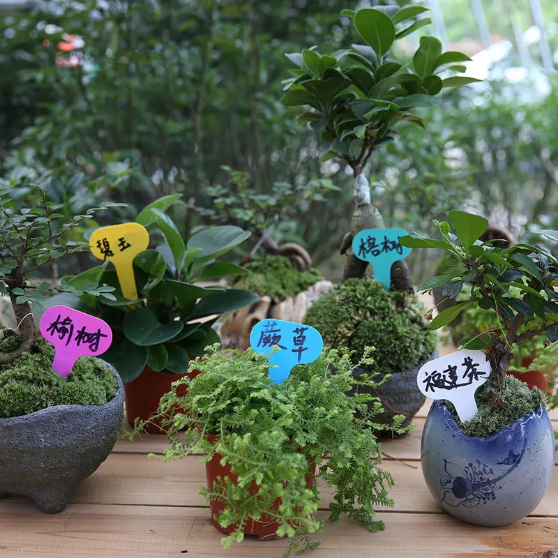 10Pcs Plastic T-type Garden Tags Ornaments Plant Flower Label Nursery Thick Tag Markers For Plants Garden Decoration