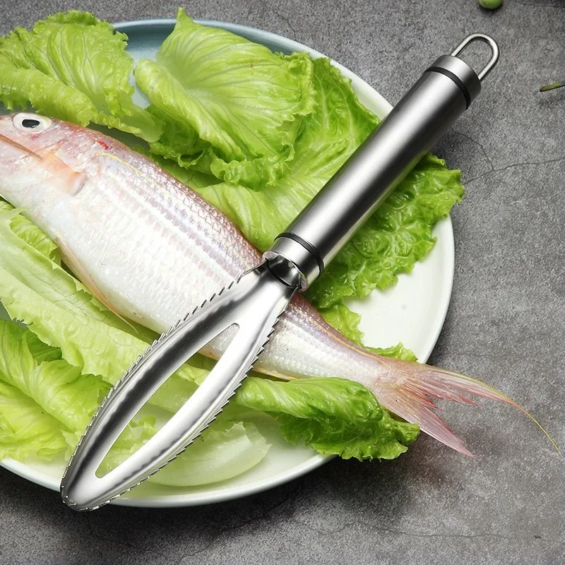 Râpes à gratter pour écailles de poisson en acier inoxydable, accessoires de cuisine, gadget à enlever rapidement les livres de poisson, éplucheur,