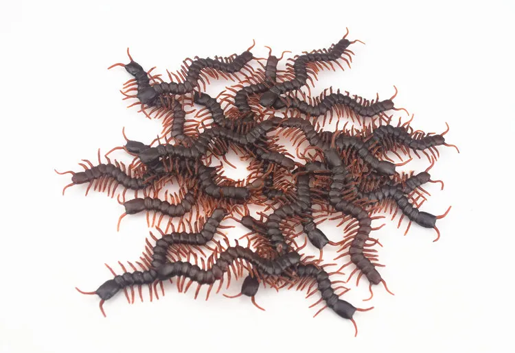 10Pcs ตลกกลัว Trick Joke ของเล่นพิเศษเหมือนจริงจำลองปลอมแมลงสาบ Scorpion Gecko งูแมลงสาบของเล่น