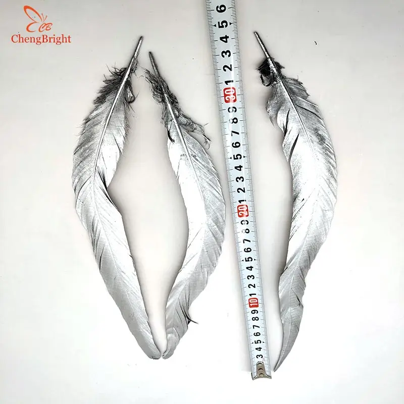 ChengBright Wholesale Silver 500PCS 30-35CM Gold Natural Rooster tail Feathers For Decoration Craft Feather Christma Diy Feather