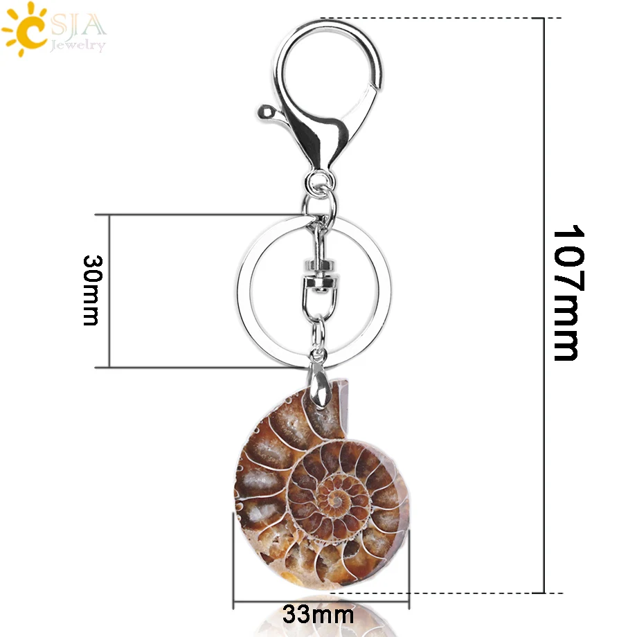 CSJA Motorcycle Car Door Keychains Key Rings Key Holder Lobster for Mens Women Natural Stone Ammonite Animal Shell Pendants F024