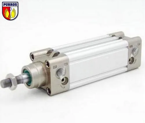 

DNC 100 Cylinder, Bore: 100mm, Stroke: 1000mm