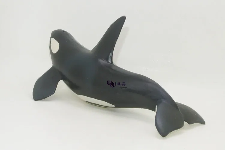 Nouveau modèle de Simulation de baleine tueur, animaux marins, animaux marins, cadeau pour enfants, accessoires éducatifs (Orcinus oca), figurines d'action