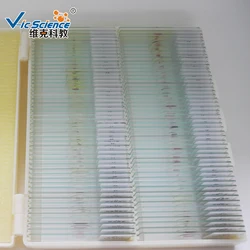 100pcs Animal Histology Prepared Slides