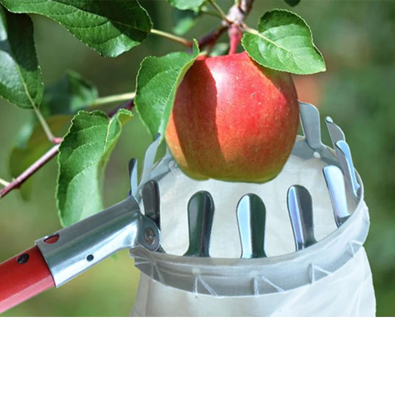 High Quality Metal Fruit Picker Convenient Gardening Tools Fruit collector for orchard Apple Peach High Tree Picking Hand Tools