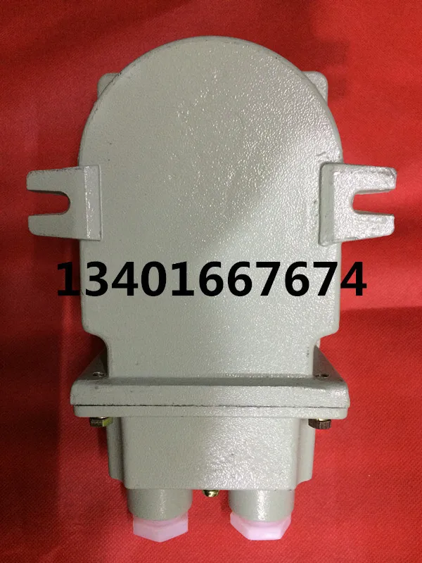 Professional wholesale all kinds of explosion-proof equipment explosion-proof switch BHZ51-25 / 3 explosion-proof combination sw