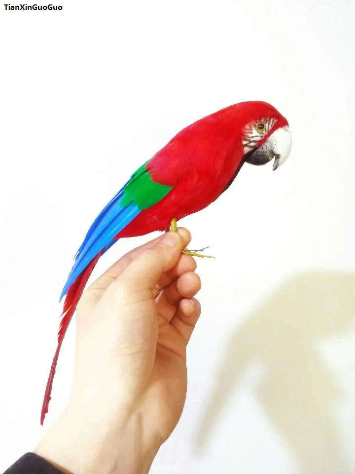 

colourful feathers red parrot bird about 32cm hard model prop,home garden decoration ornaments gift s1466