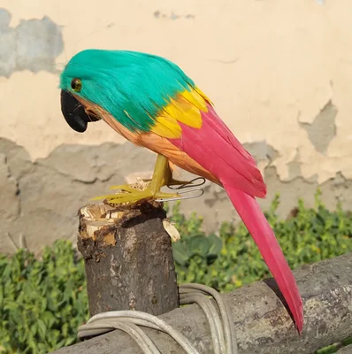 

Искусственная птица, зелено-красные перья, попугай, птица около 22 см, реквизит для рукоделия, украшение для дома и сада, подарок p1906