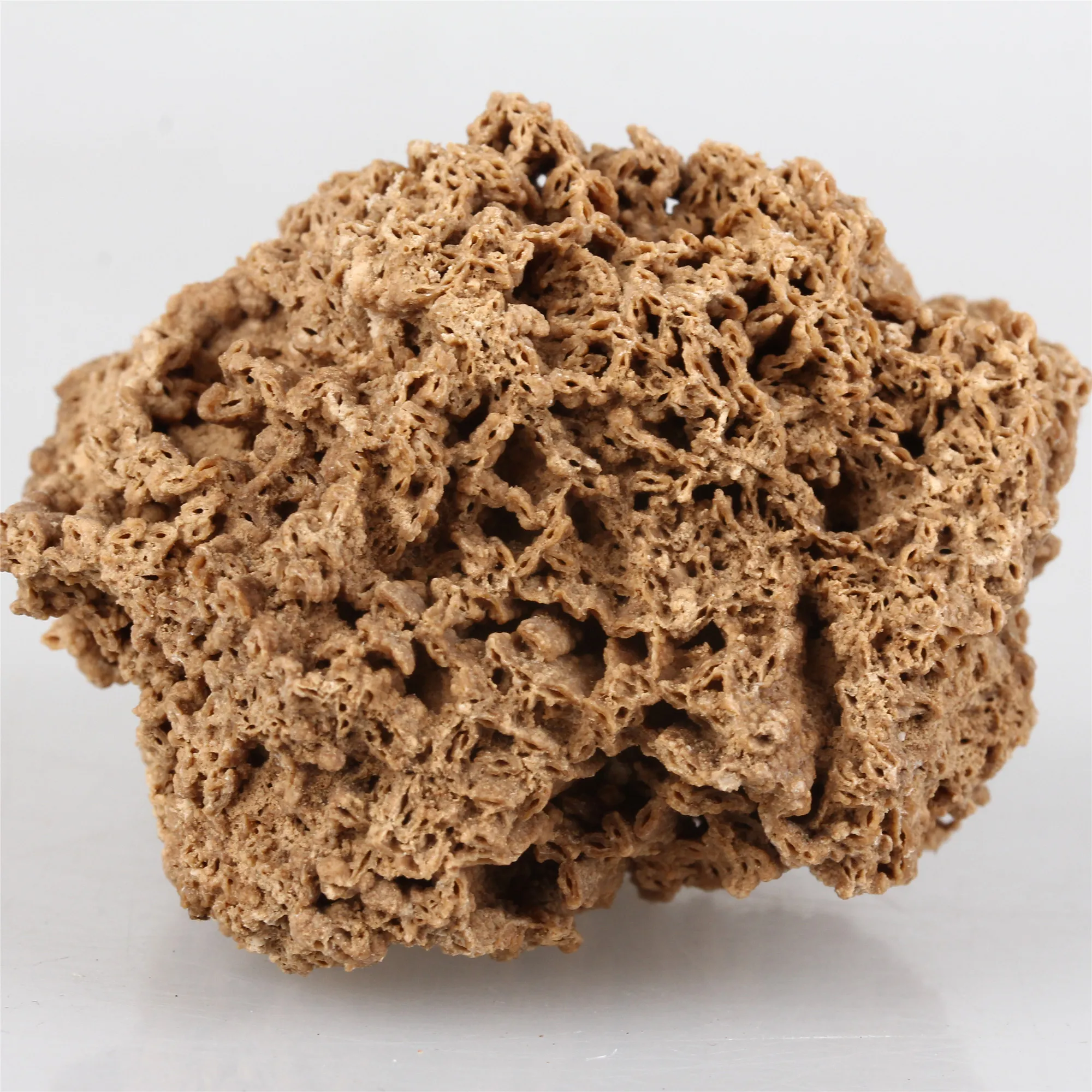 Natural raw stone for landscaping rockery aquarium decoration bonsai Water grass Plant root growth adsorption