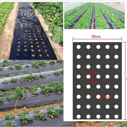 5Holes 0.95*50m 0.02mm Black Garden Greenhouse Vegetables Membrane Agricultural Plants Mulch Seeding Plastic Perforated PE Film