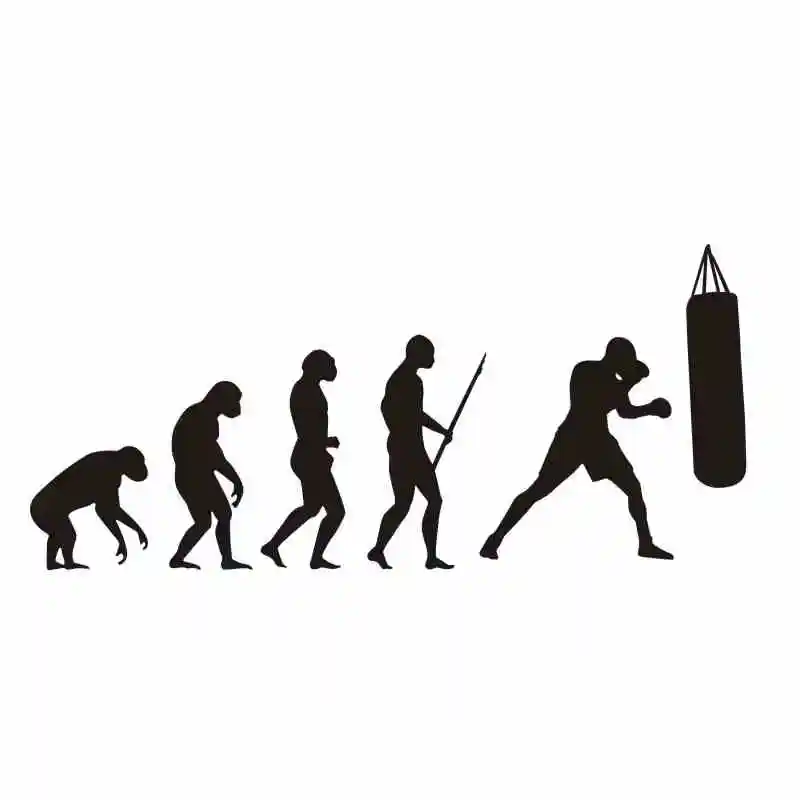 Boxing Evolution Sticker Kick Boxer Play Car Decal Free Combat Posters Vinyl Striker Wall Decals Parede Decor