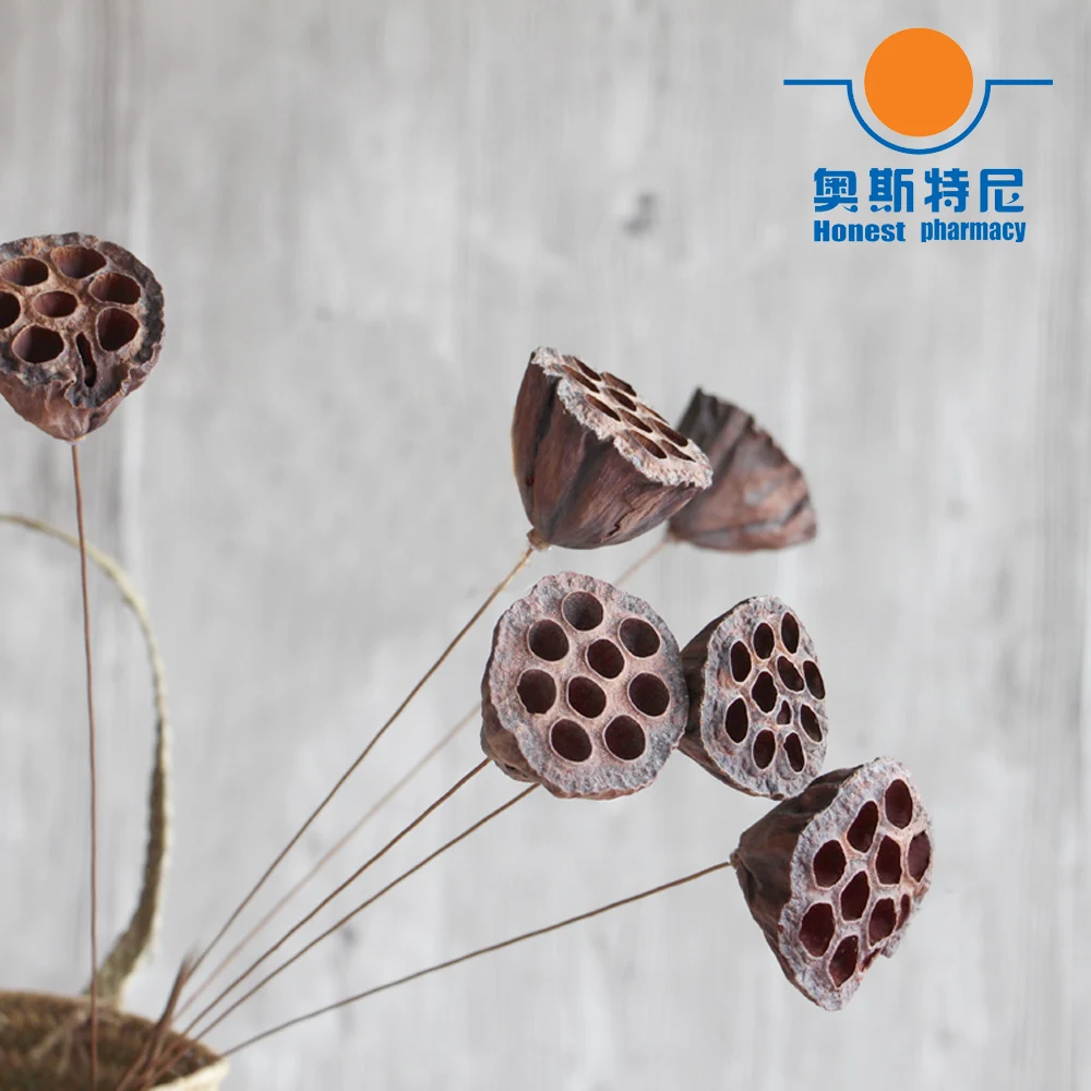 5pcs dried naturally flower bouquets small size naturally dired lotus seedpod&seedpod of the lotus without seed