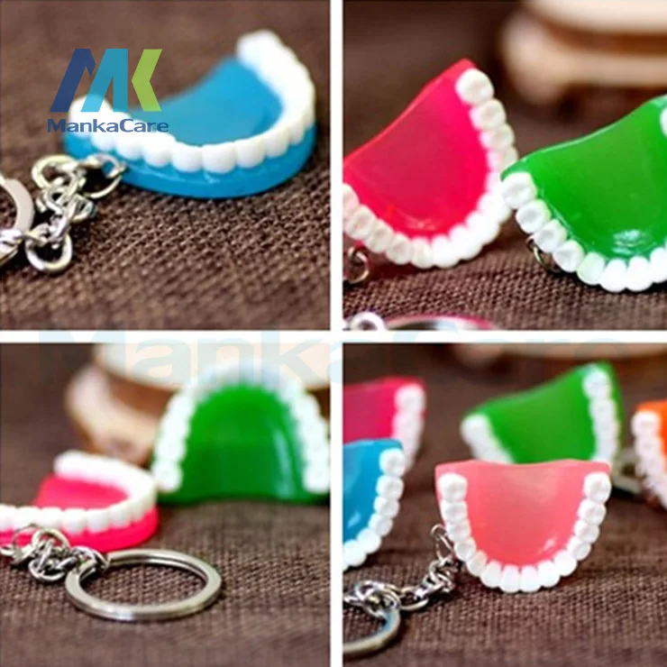 12 Pcs Simulation teeth / gums keychain creative gifts fashion gift small business dental hospitals and clinics