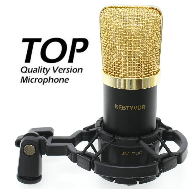 Professional Studio Condenser Microphone bm700 Stand Pop Filter for Computer PC Video Recording BM 700